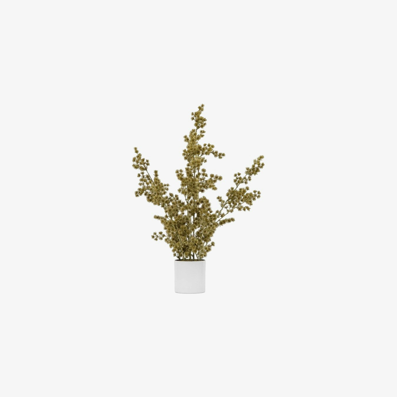 Potted Cedar Pine - Gold by E.S. Designs