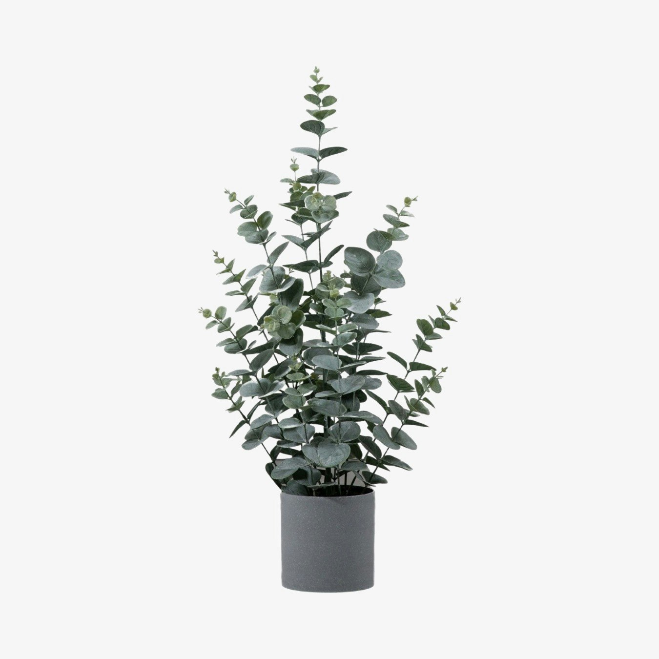 Potted Eucalyptus Bush - Green by E.S. Designs