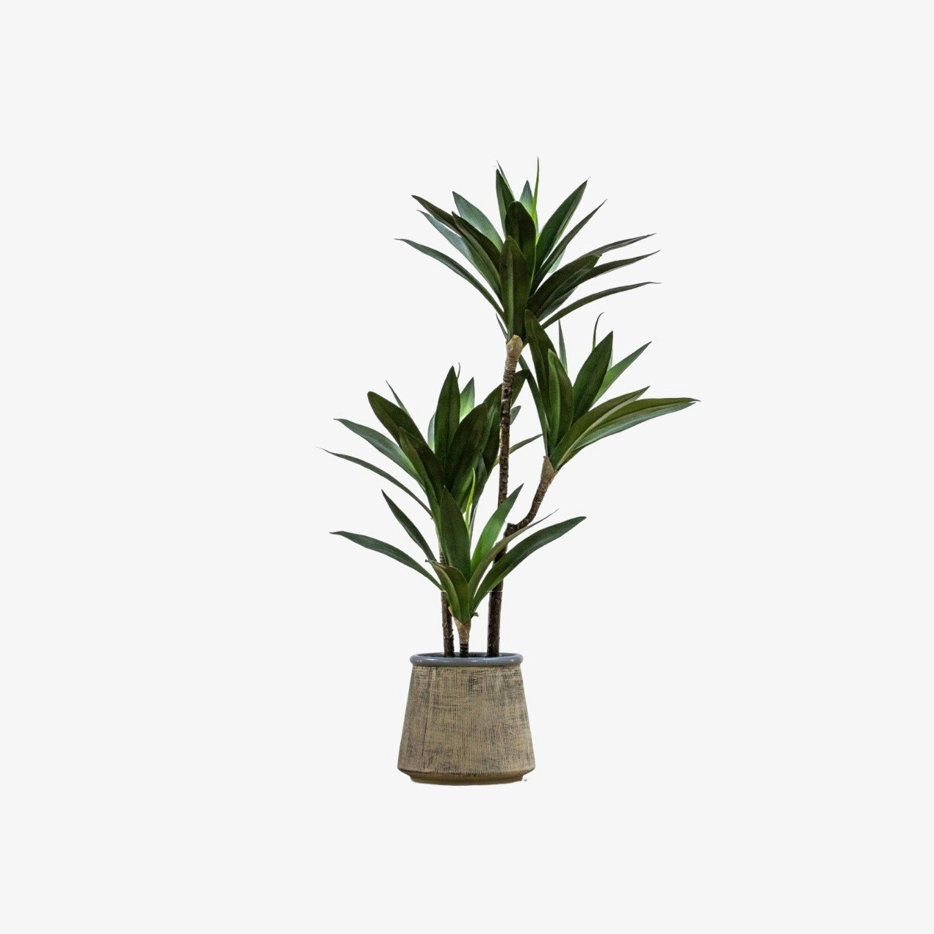 Potted Yucca - Green by E.S. Designs