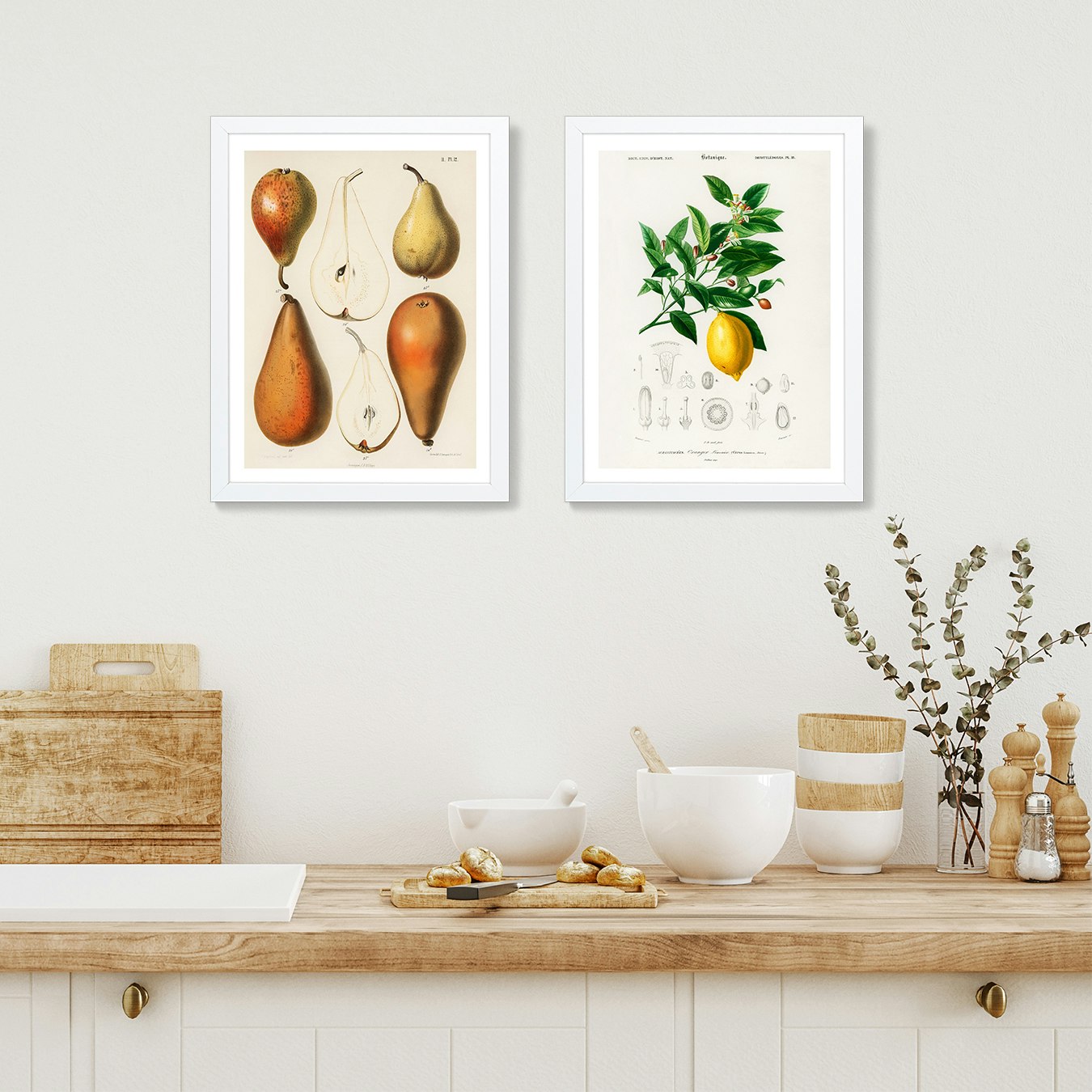Vintage Fruits Gallery Wall by Fy! Gallery Walls