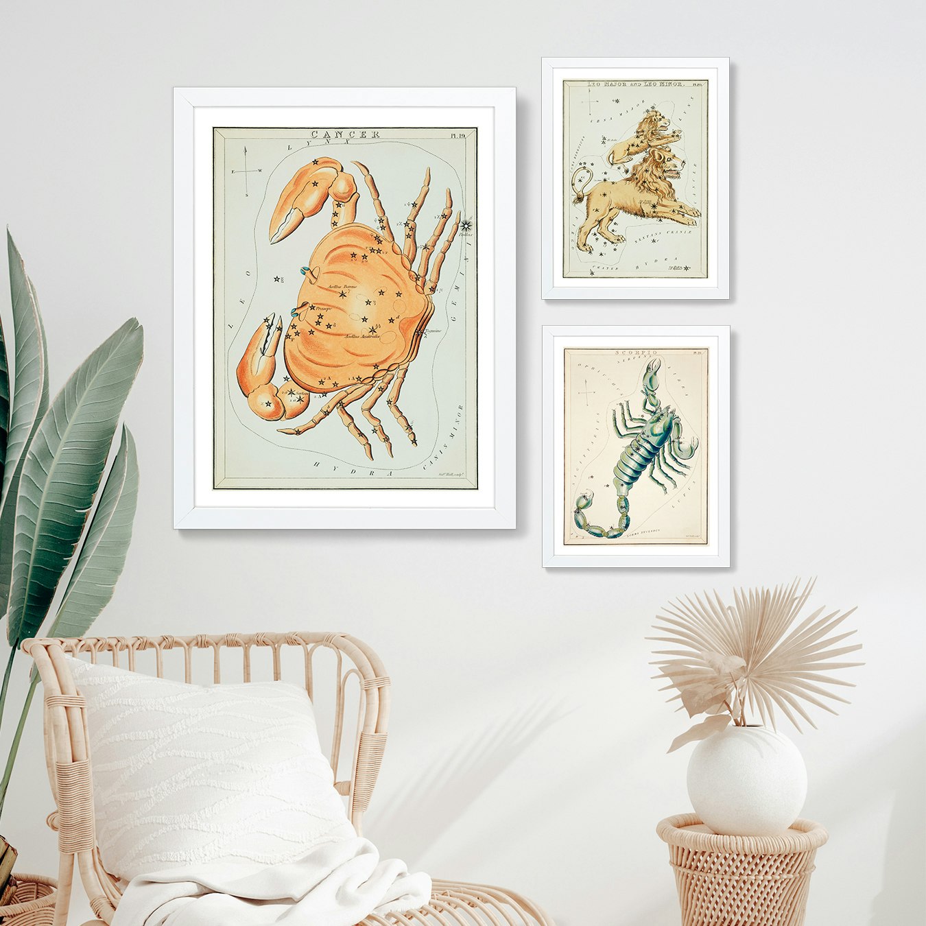 Zodiacs Gallery Wall by Fy! Gallery Walls