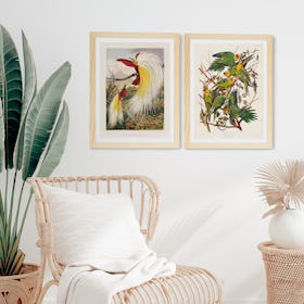 Tropical Birds Gallery Wall