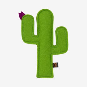 Kitty Cactus - Green