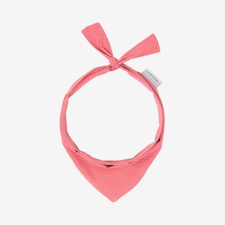 Polkadot Dog Neckwear - Pink