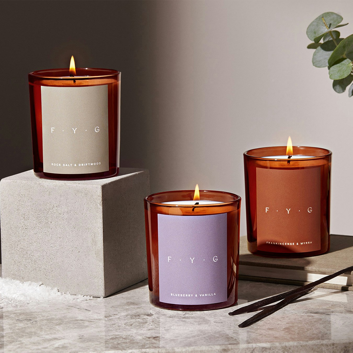 Blueberry and Vanilla Candle by FYG