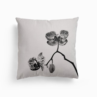 Simply A Orchid Canvas Cushion