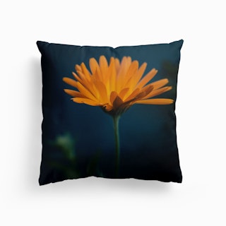 Orange Flower On Blue Background Canvas Cushion