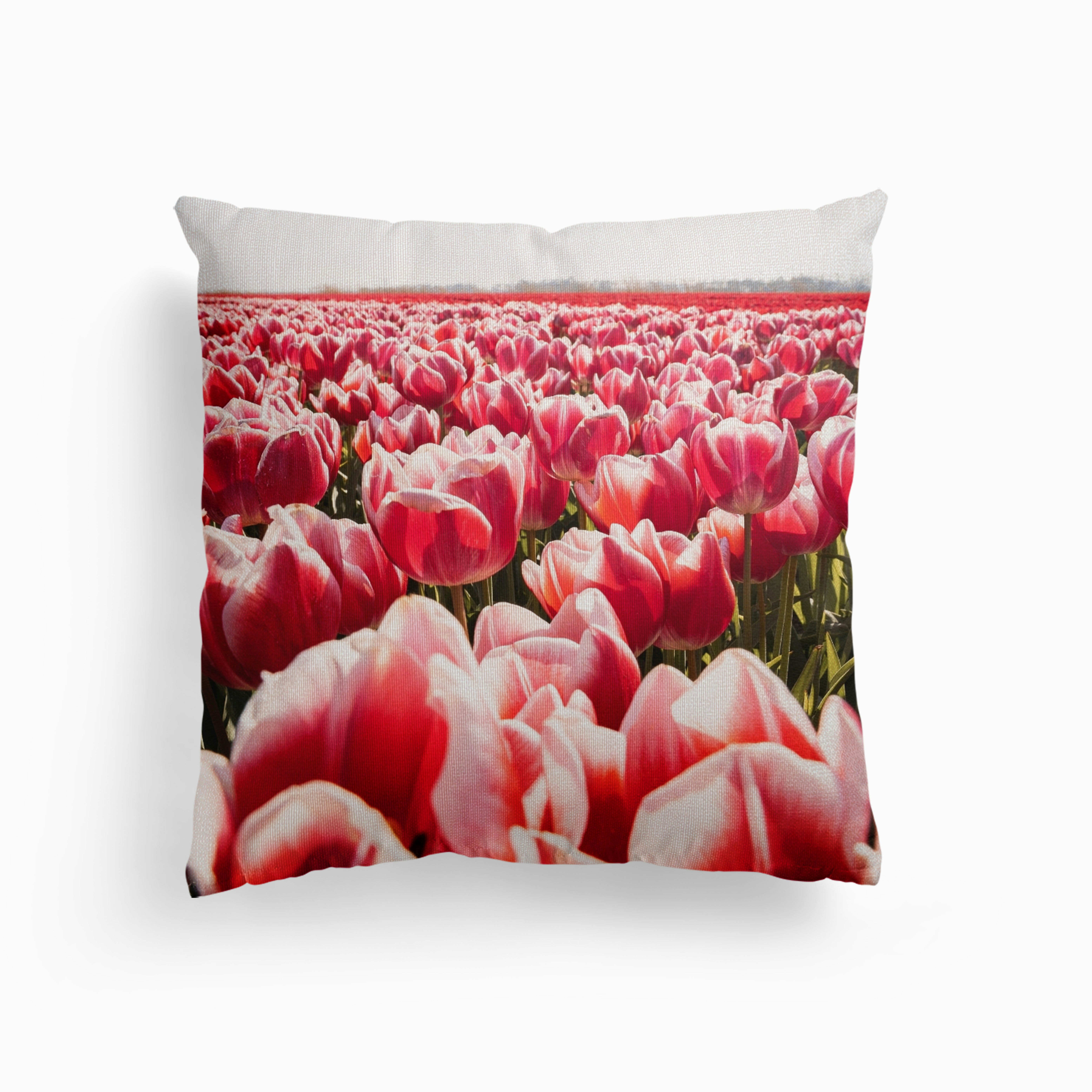Tulip Field In Holland Canvas Coussin