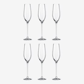 Celebration 21 - Champagne Flutes - Crystal - Set of 6