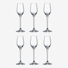 Cordial Glasses - Crystal - Set of 6