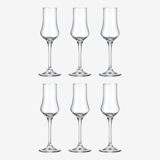 Grappa Glasses - Crystal - Set of 6