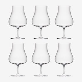 Rum Glasses - Crystal - Set of 6