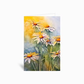 Daisies Greetings Card