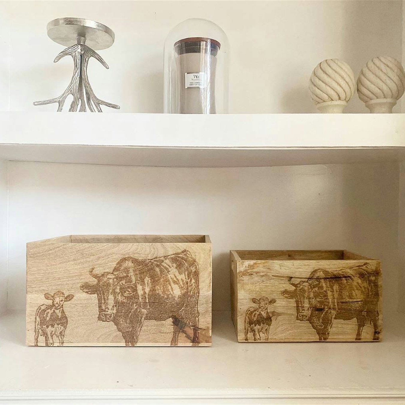 Engraved Cow Crates - Set of 2 by Geko Products