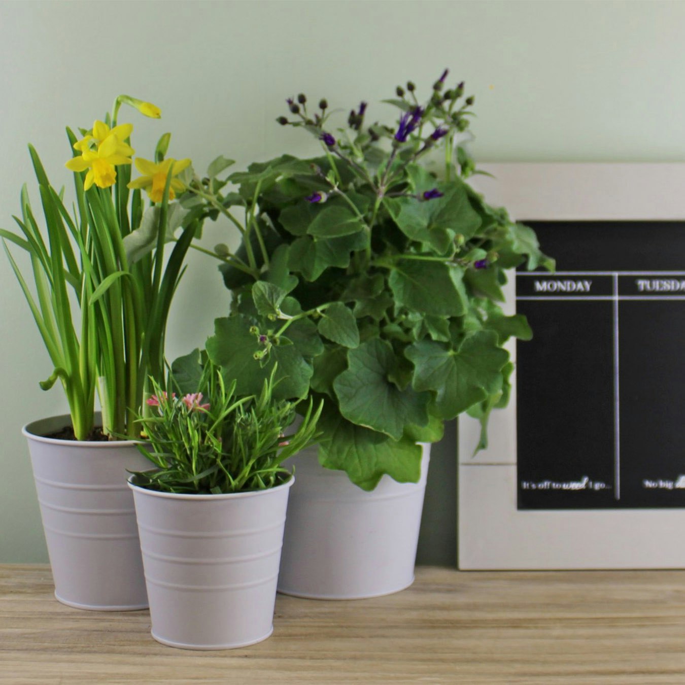 Round Metal Planters - Green - Set of 3 by Geko Products