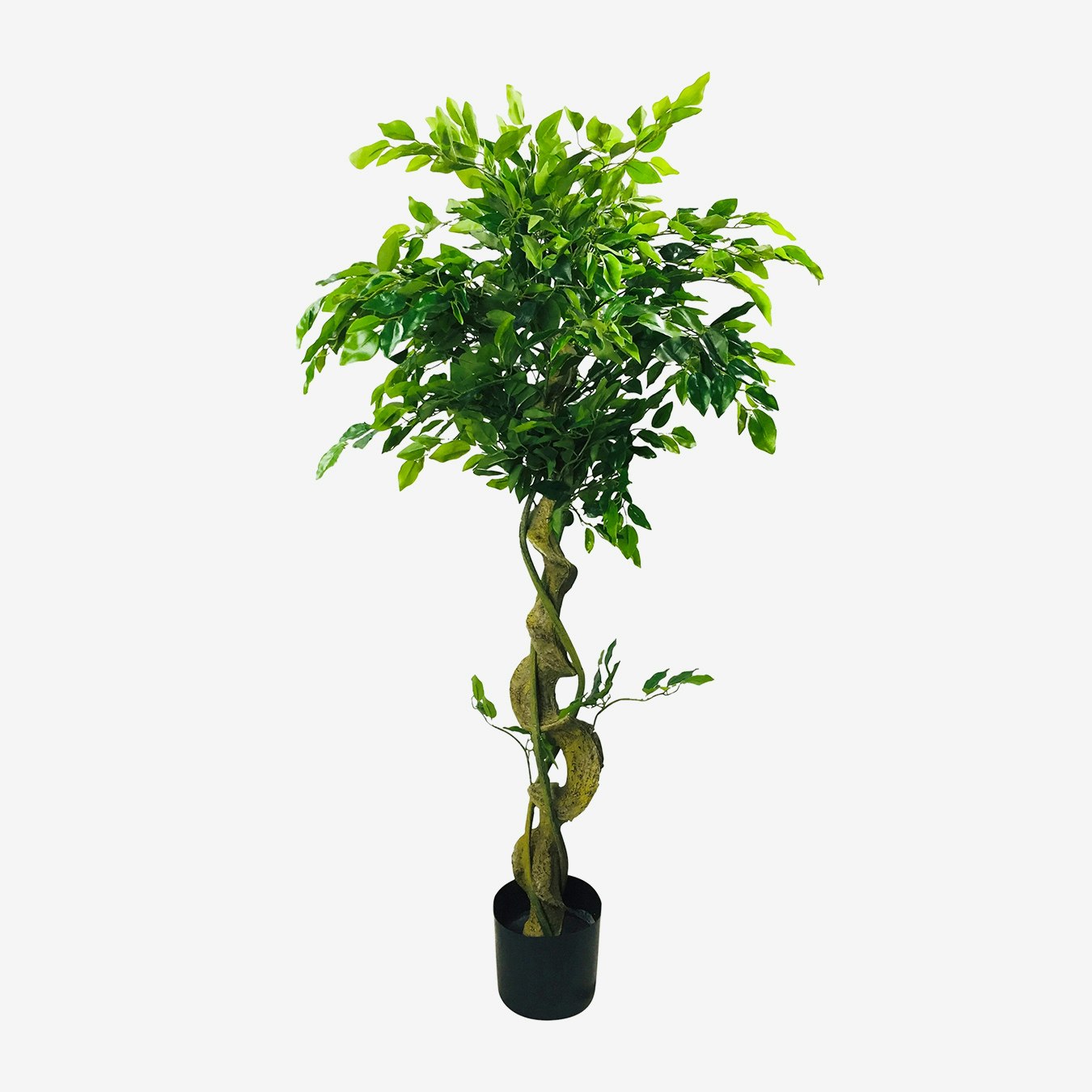 Potted Artificial Ficus Tree - Twisted Trunk by Geko Products
