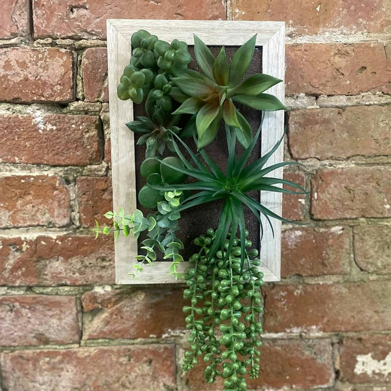 Artificial Succulents In Wooden Frame by Geko Products