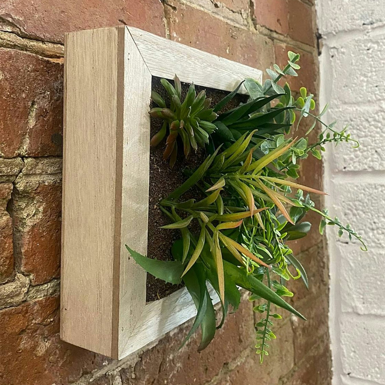 Artificial Succulents In Square Wooden Frame by Geko Products