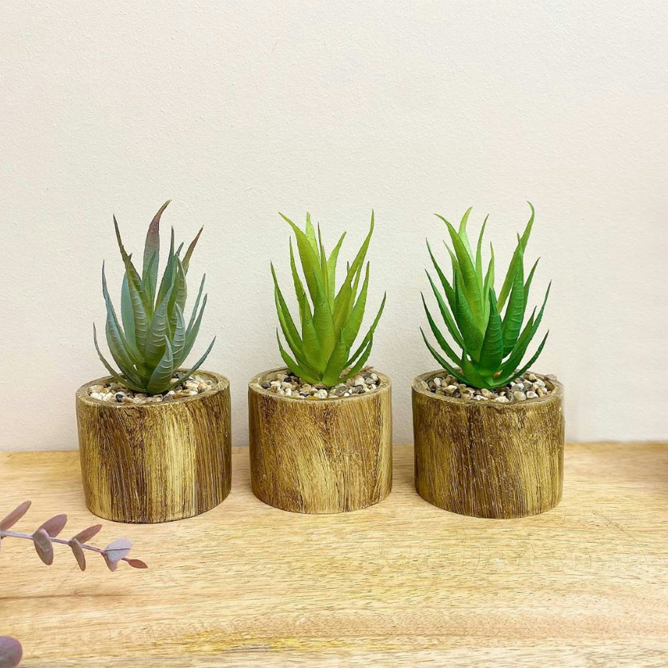 Bark Effect Pot and Succulent - Set of 3 by Geko Products