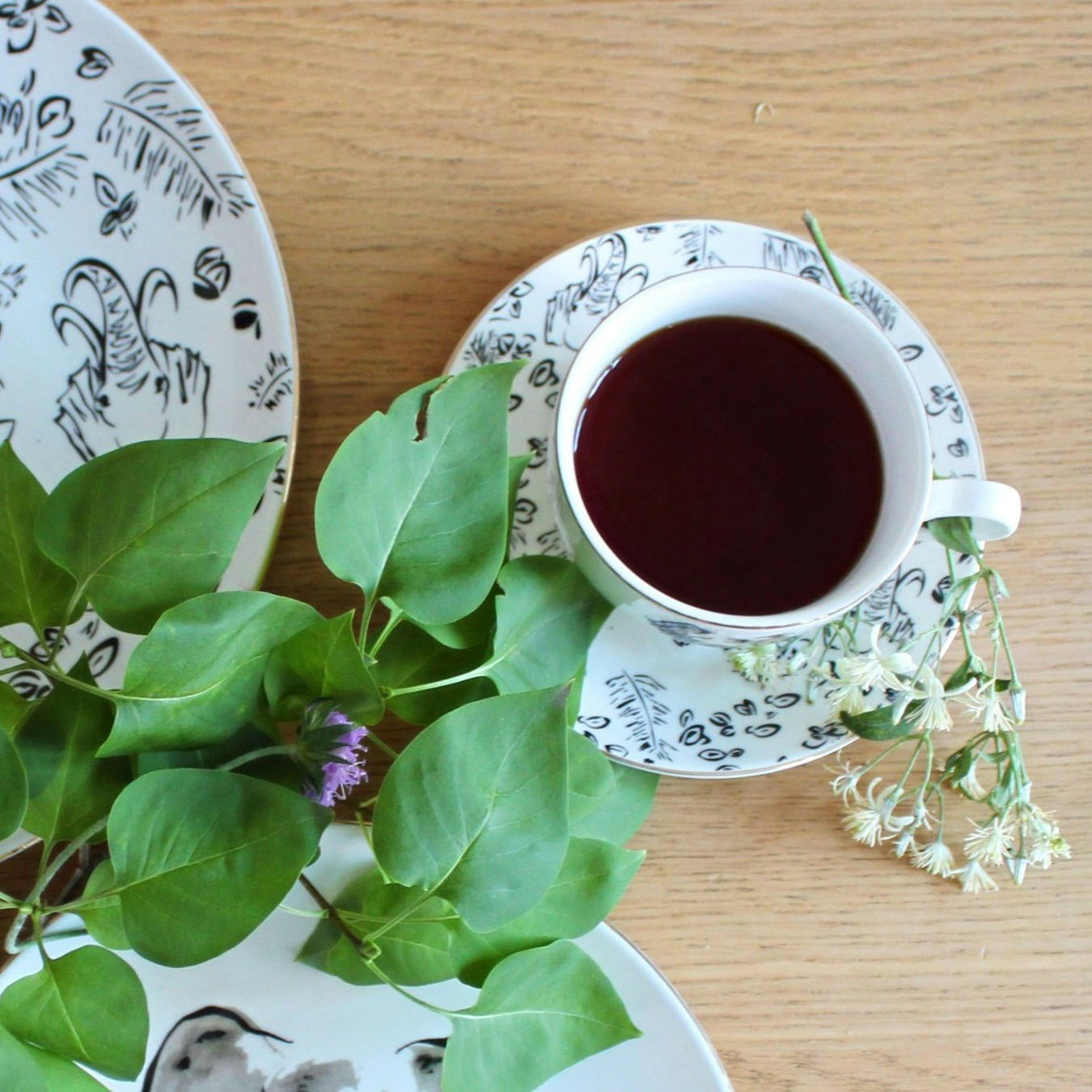 Tea Cups - Elephant - Set of 2 by Milly Sands