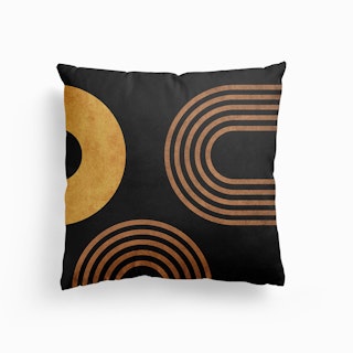 Transitions In Black 2 Canvas Cushion