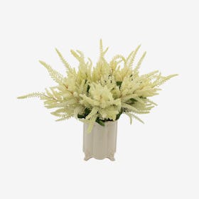 Astilbe Floral Arrangement in Footed Vase - White