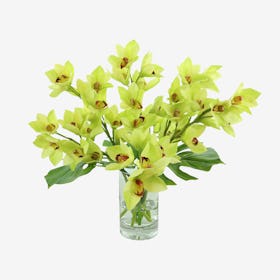 Orchid and Monstera Leaf Floral Arrangement in Vase - Green