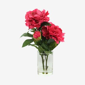 Peony Floral Arrangement in Vase - Fuchsia