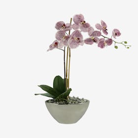 Single Orchid Floral Arrangement in Vase - Purple
