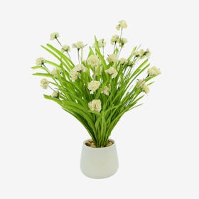 Carnation Floral Arrangement in Pot - White