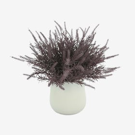 Astilbe Floral Arrangement in Pot - Purple / White
