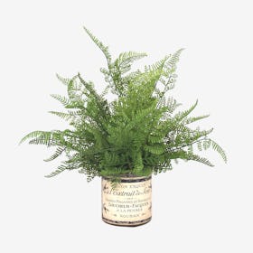Artificial Fern Plant in Label Vase