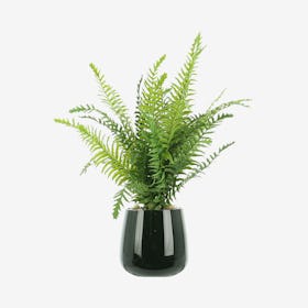 Artificial Green Ferns In A Glass Vase With Rocks And Acrylic Water