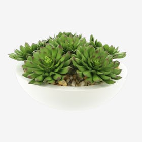 Artificial Echeveria Succulents Arranged In A Half Circle Pot