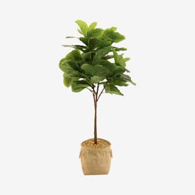 Artificial Fiddle Leaf Tree In A Burlap Basket With Handle