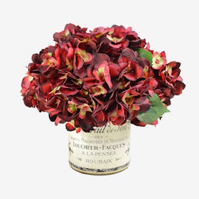 Hydrangea Floral Arrangement in French Label Vase - Burgundy / Cream