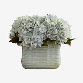 Hydrangeas Floral Arrangement in Vase - Seafoam