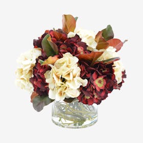 Hydrangeas with Magnolia Leaf Floral Arrangement in Vase - Cream / Burgundy