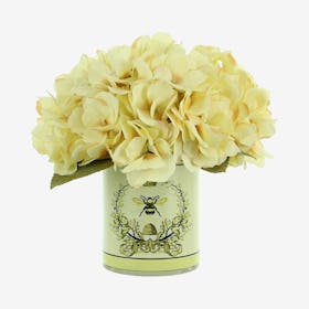 Hydrangea in Bee Label Pot - Cream