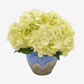 Hydrangea Floral Arrangement in Vase - Lime Green
