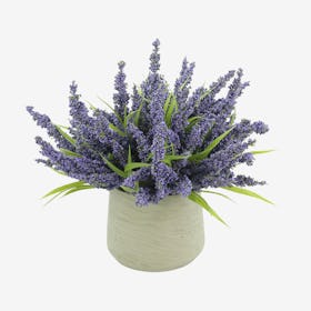 Heather Floral Arrangement in Pot - Purple