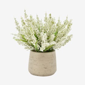 Heather Floral Arrangement in Pot - Cream / White