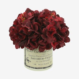 Hydrangeas in Label Vase - Burgundy