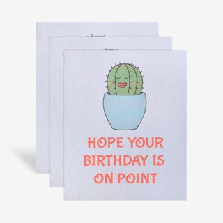 Plantable 'Hope Your Birthday is on Point' Greeting Cards - Biodegradable Seed Paper - Set of 3