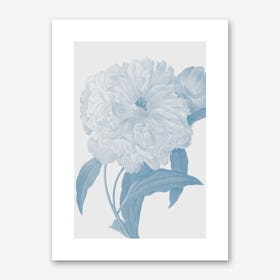 Flower No.3 Art Print