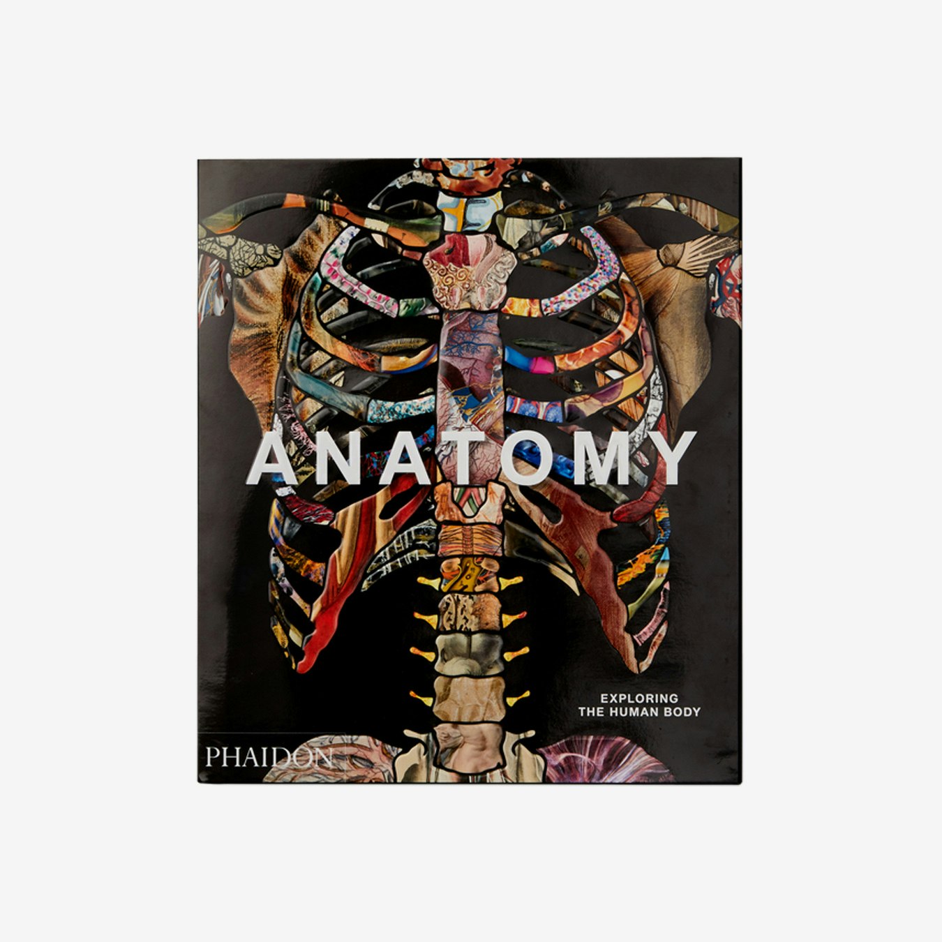 Anatomy: Exploring the Human Body - Coffee Table Book by Phaidon