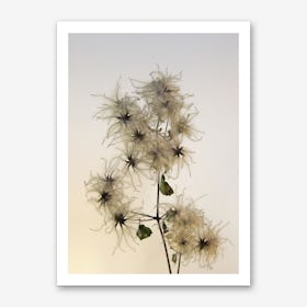 Florales · Plant End 7 Art Print