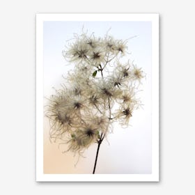 Florales · Plant End 8 Art Print