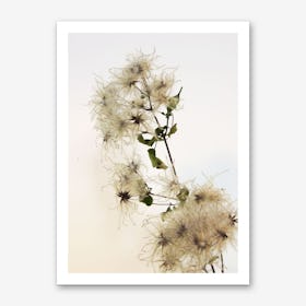 Florales · Plant End 9 Art Print