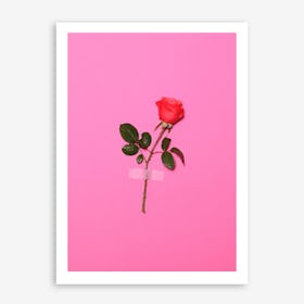 Wall Flower In Art Print